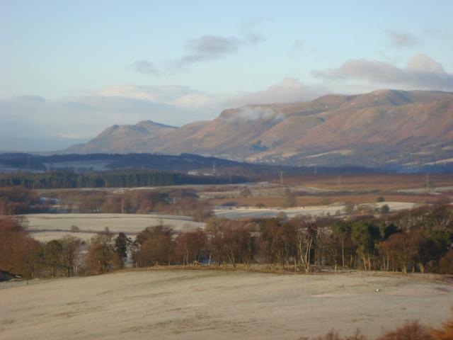 Feb_2011_014.JPG